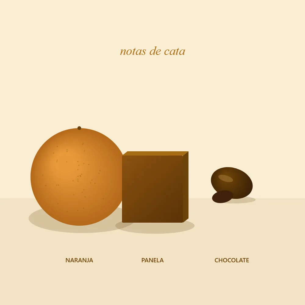 Notas de cata